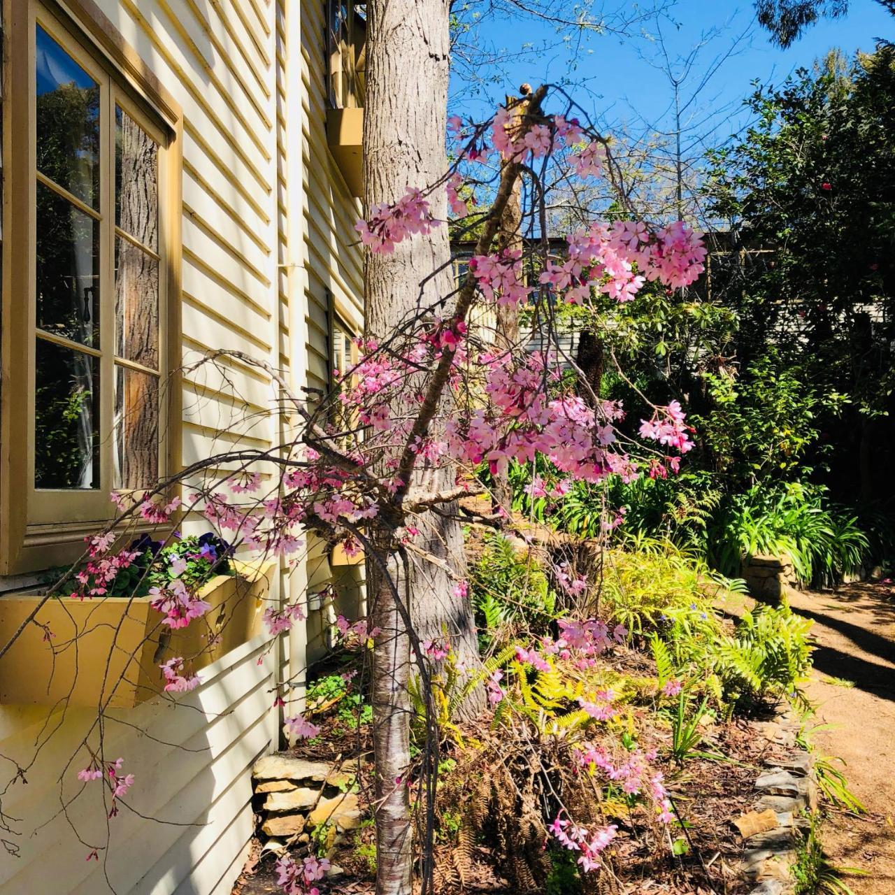 Aldgate Creek Cottage Bed And Breakfast Bagian luar foto