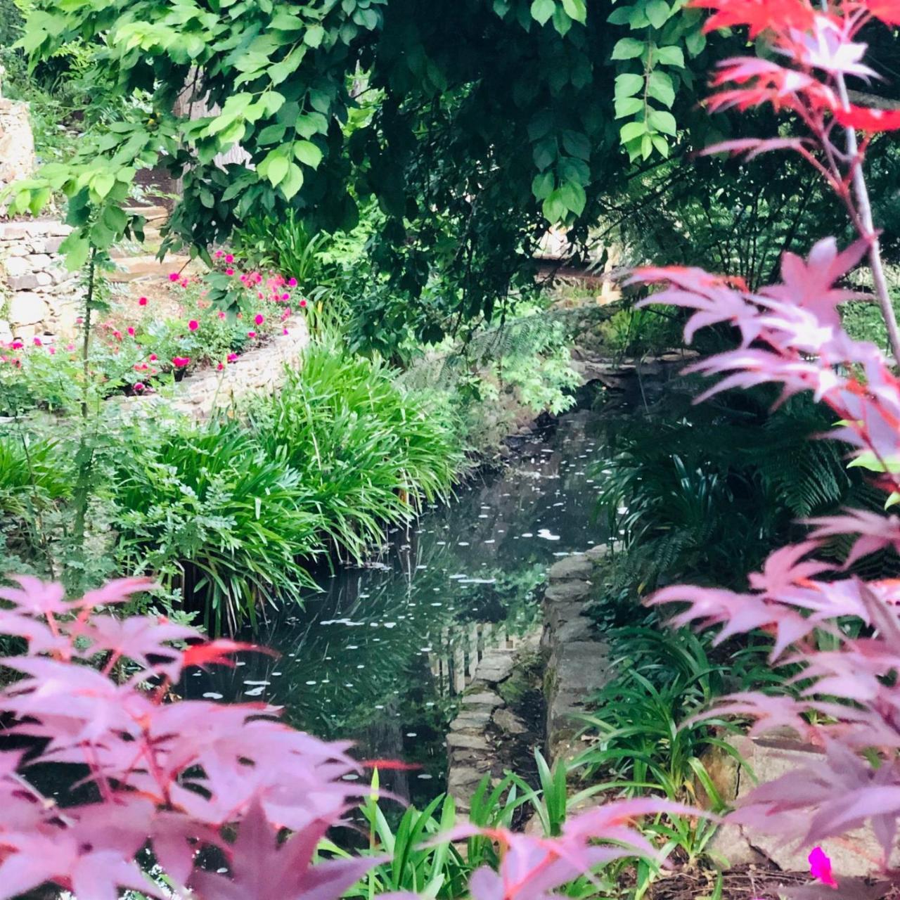 Aldgate Creek Cottage Bed And Breakfast Bagian luar foto