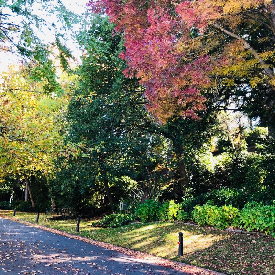 Aldgate Creek Cottage Bed And Breakfast Bagian luar foto