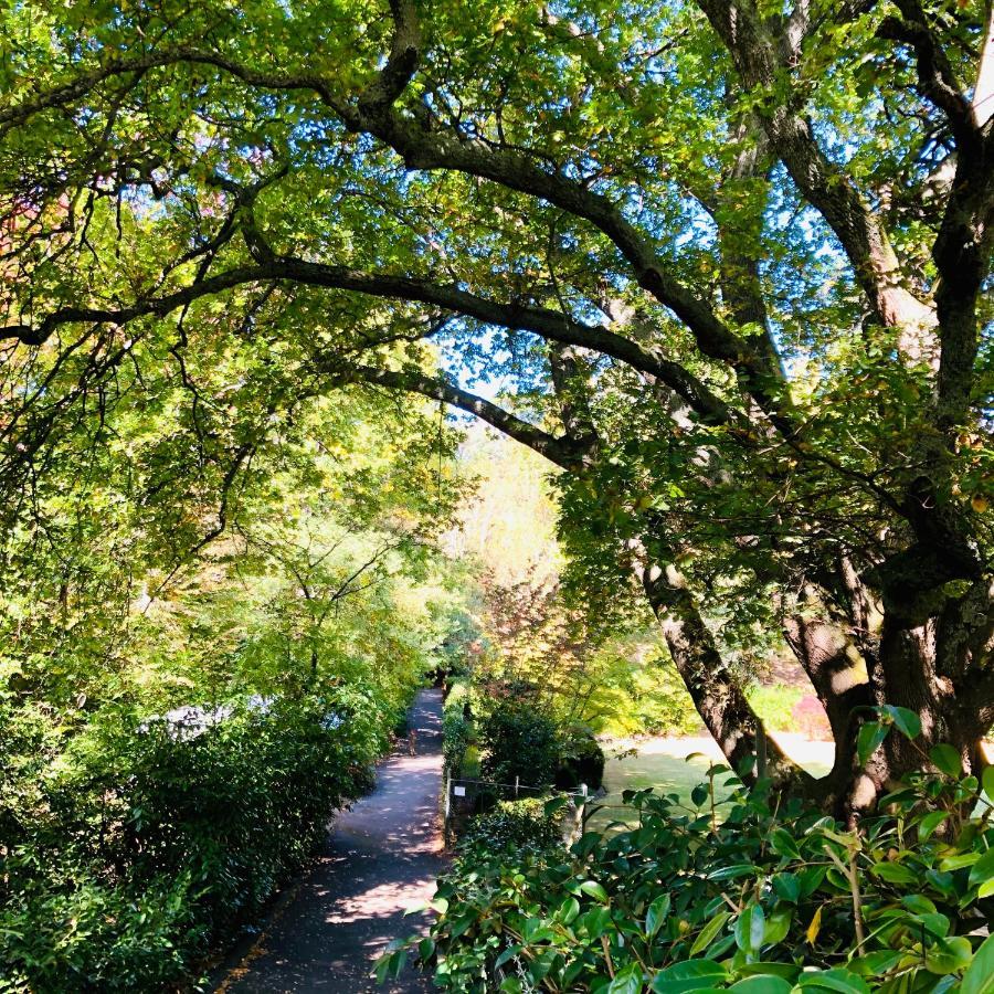 Aldgate Creek Cottage Bed And Breakfast Bagian luar foto