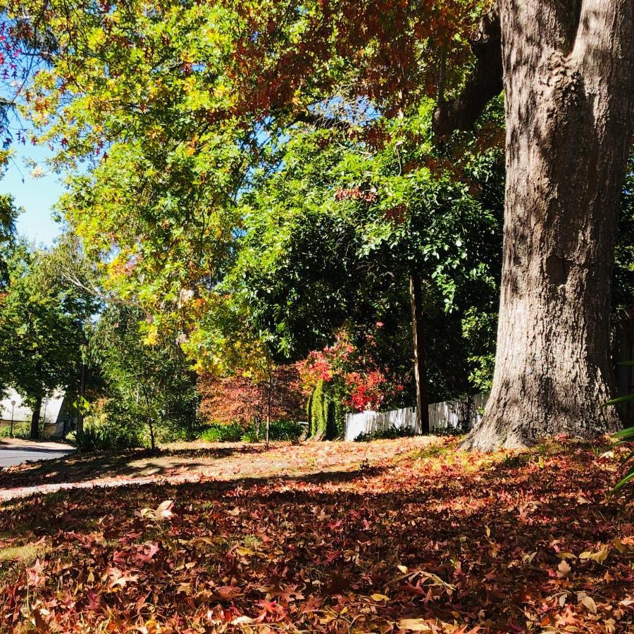 Aldgate Creek Cottage Bed And Breakfast Bagian luar foto