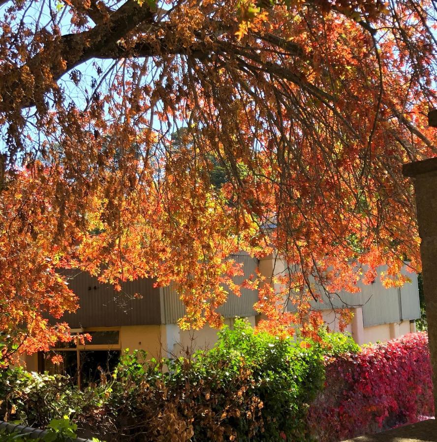 Aldgate Creek Cottage Bed And Breakfast Bagian luar foto