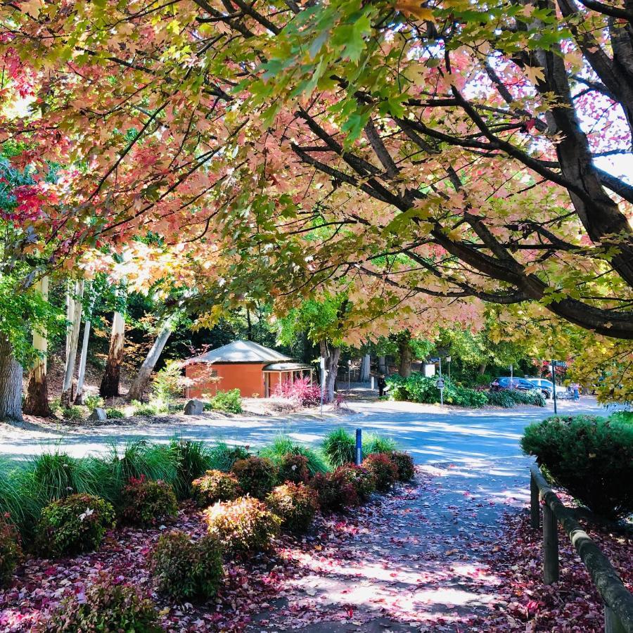 Aldgate Creek Cottage Bed And Breakfast Bagian luar foto